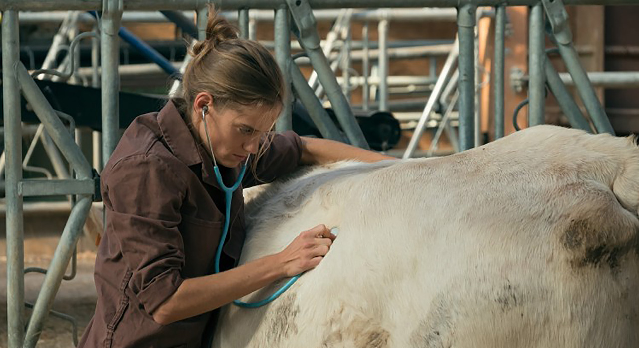 Fotograma 'Una veterinaria en la Borgoña'