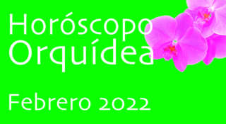 Horóscopo Orquídea Febrero 2022