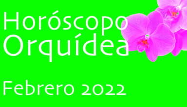 Horóscopo Orquídea Febrero 2022