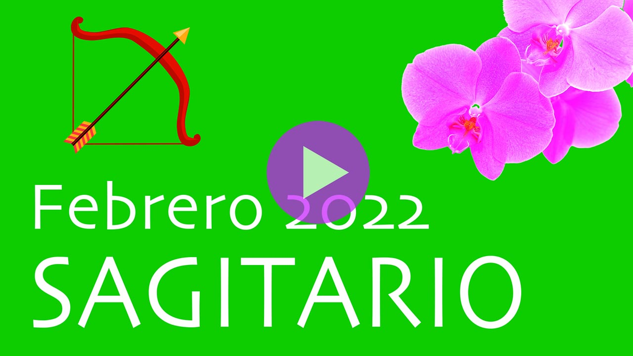 Horóscopo Orquídea Sagitario Febrero 2022