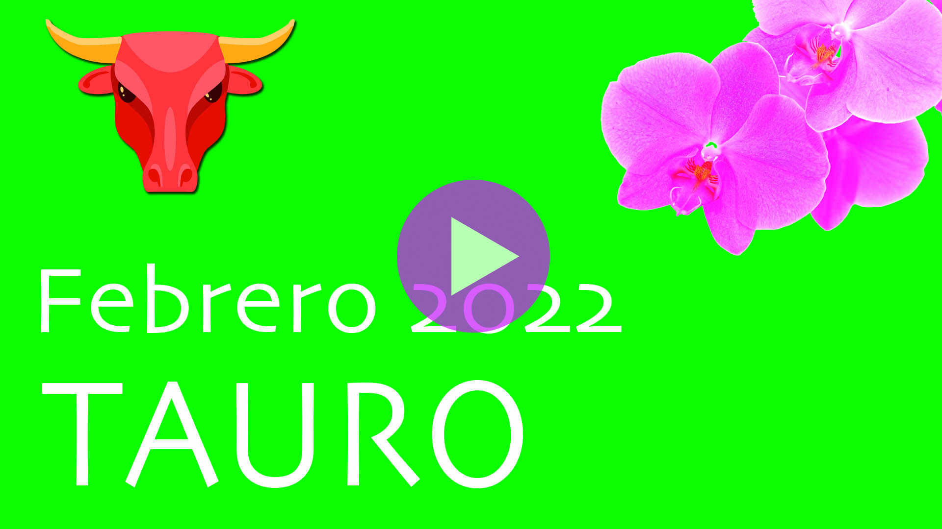 Horóscopo Orquídea Tauro Febrero 2022