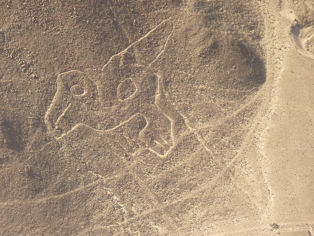 Las líneas de Nazca