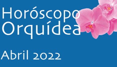 Horóscopo Orquídea Abril 2022
