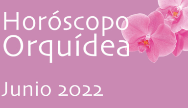 Horóscopo Orquídea Junio 2022