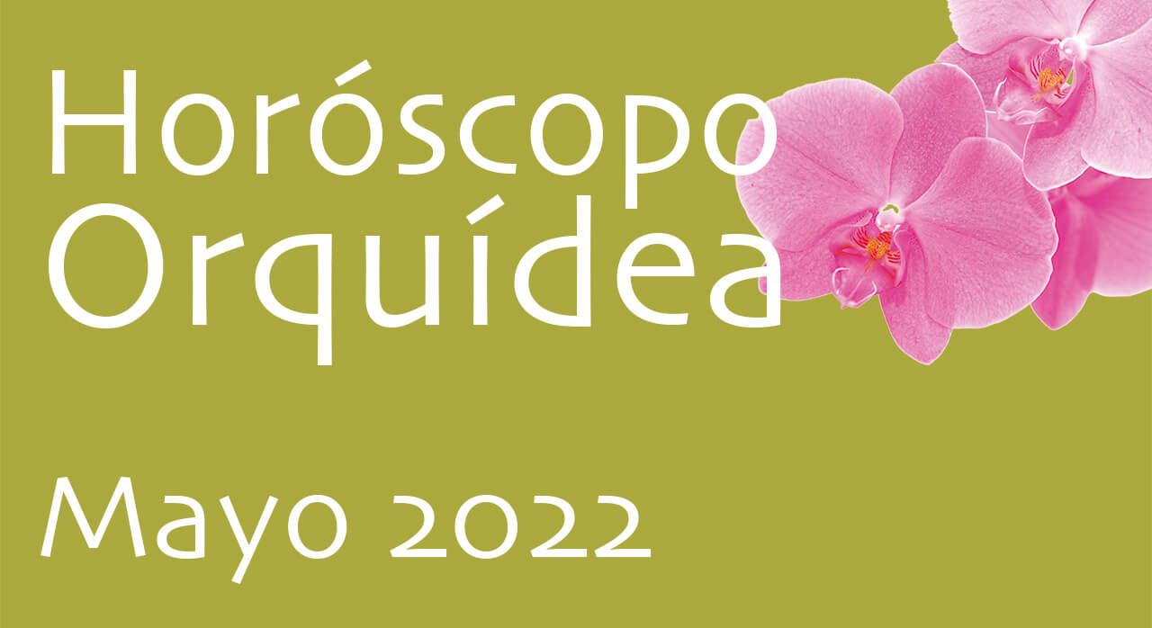 Mayo 22 - Horóscopo Orquídea