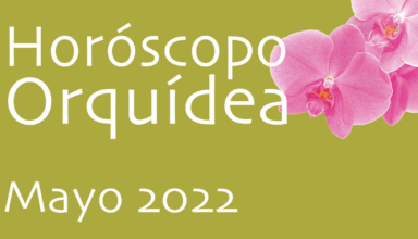 Mayo 22 - Horóscopo Orquídea