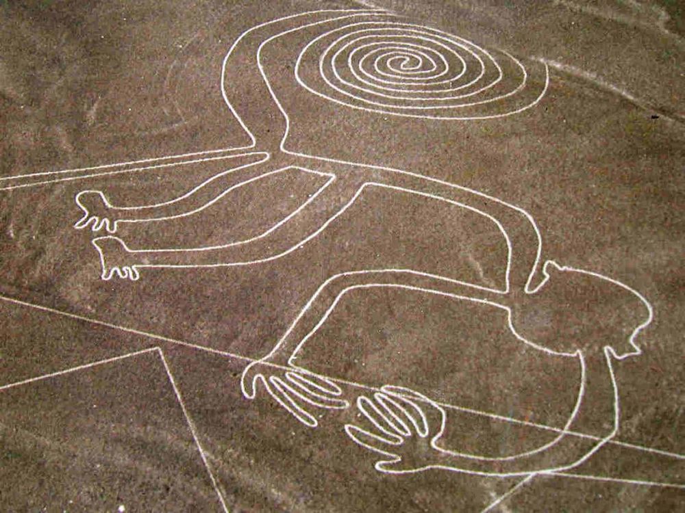 Mono Líneas Nazca