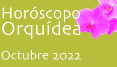 Horóscopo Orquídea Octubre 22