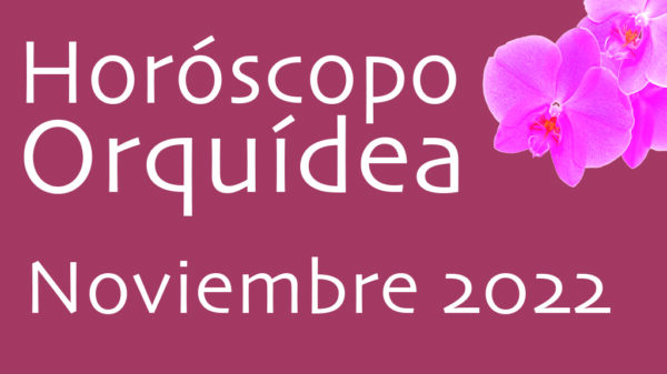 Horóscopo Orquídea Noviembre 22