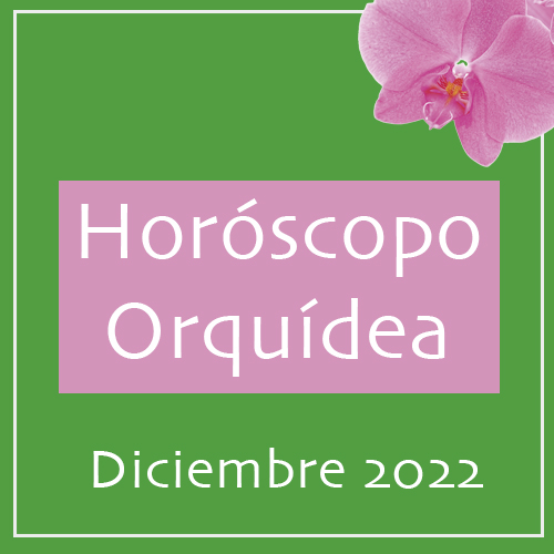 Banner Horóscopo Orquídea Diciembre 22