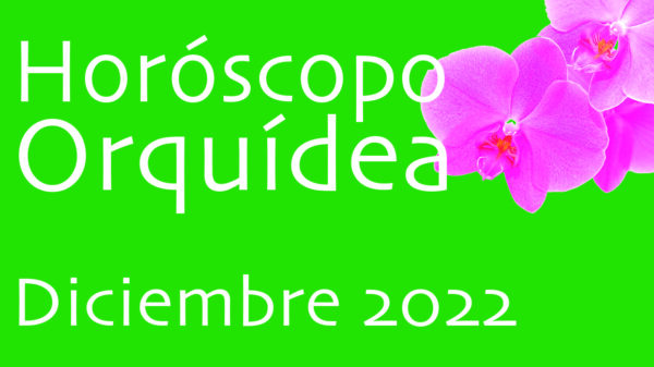 Horóscopo Orquídea Diciembre 22