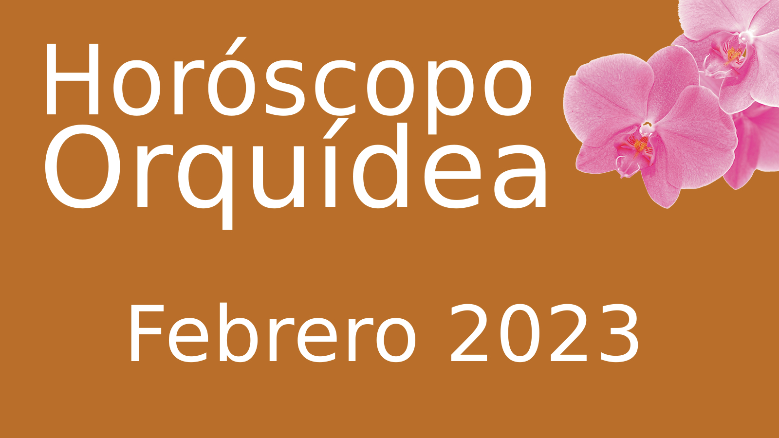 Horóscopo Orquídea Febrero 2023