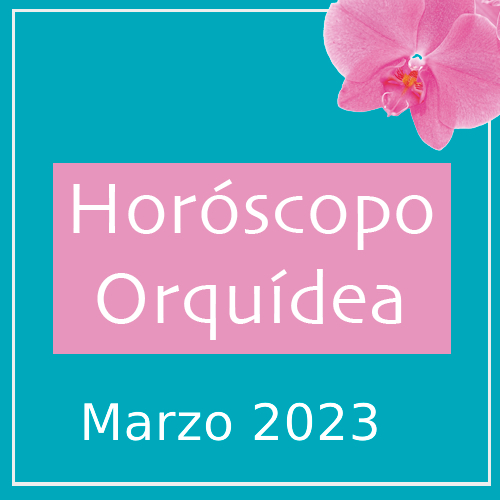 Banner Horóscopo Orquídea Febrero 2023